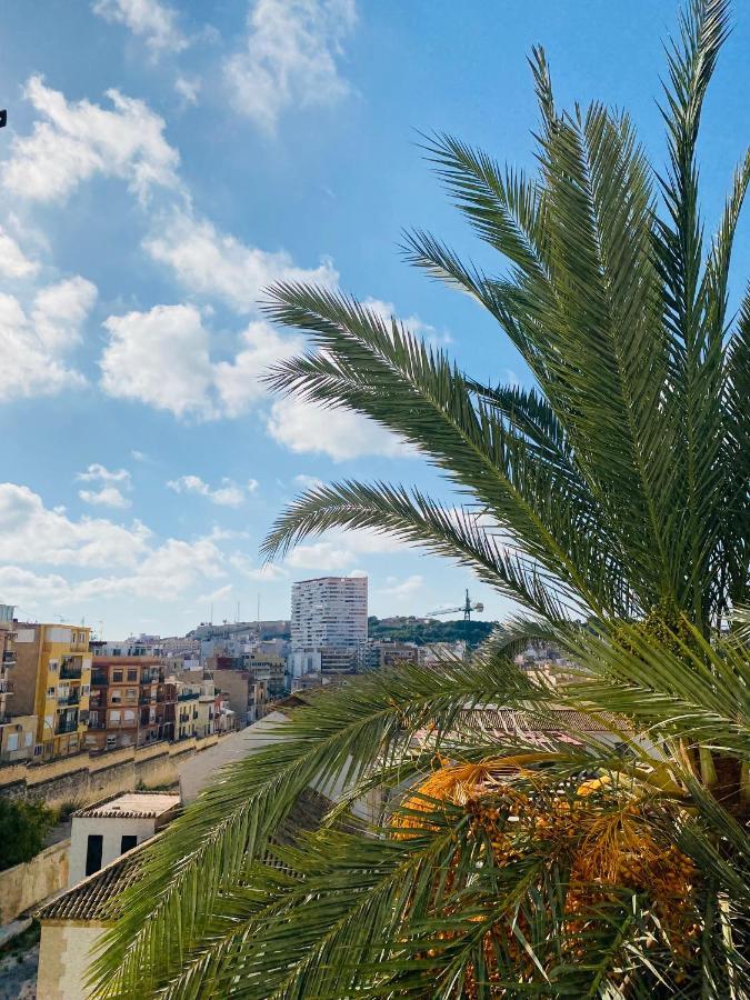 Casas 349h Centre Ground Floor Apartament Alicante